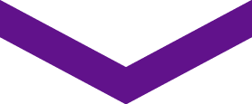 Purple downwards pointing chevron